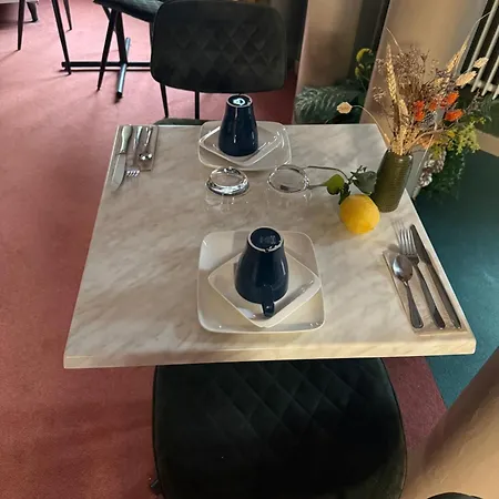 阿斯库瑞奥酒店 3* 梅斯